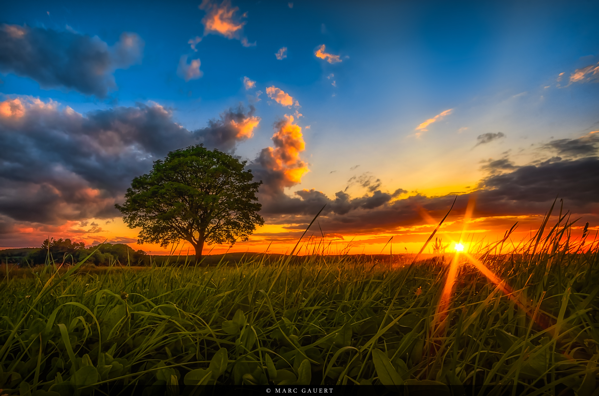 MG2 2704 V2.Copyright