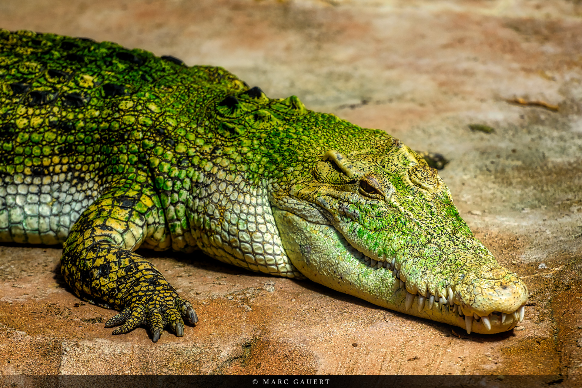  MGP5247 Luminar2018 edit