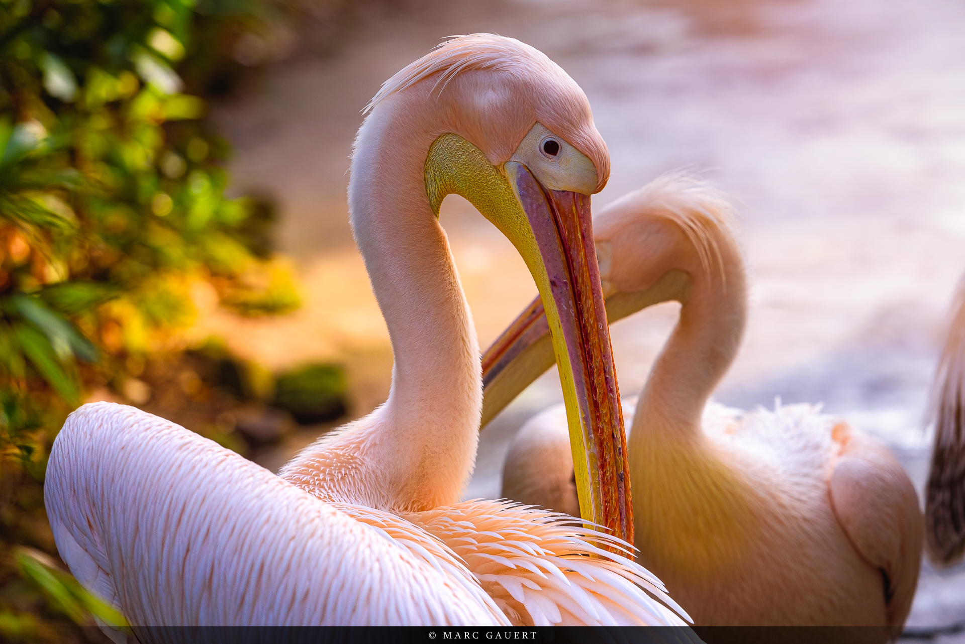  MGS3272 Luminar3 edit